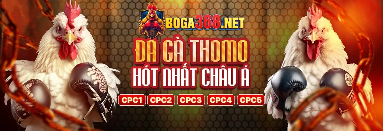 Đá gà trực tuyến vip22 nhà cái
