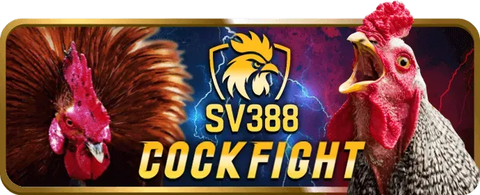 Tiền thưởng chào mừng vip22 nhà cái